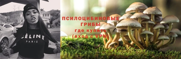 ПСИЛОЦИБИНОВЫЕ ГРИБЫ Белоозёрский