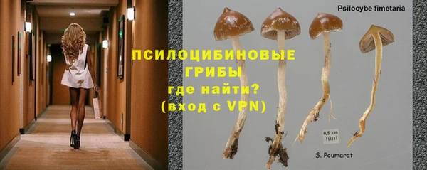 ПСИЛОЦИБИНОВЫЕ ГРИБЫ Белоозёрский