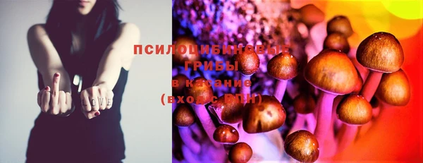 ПСИЛОЦИБИНОВЫЕ ГРИБЫ Белоозёрский