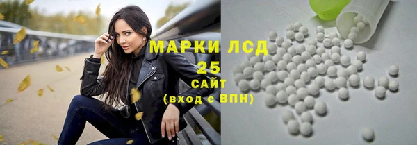 ПСИЛОЦИБИНОВЫЕ ГРИБЫ Белоозёрский
