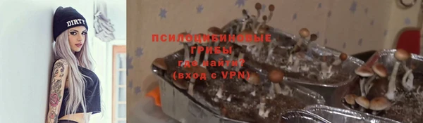 прущая мука Белокуриха