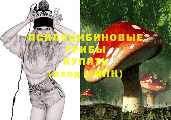 ешки Беломорск
