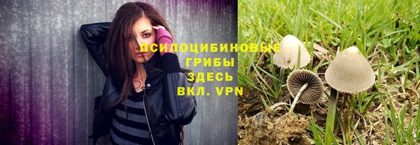 ПСИЛОЦИБИНОВЫЕ ГРИБЫ Белоозёрский